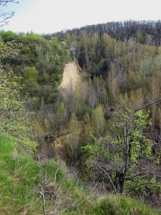 Трахтемиров, image of landscape/habitat.