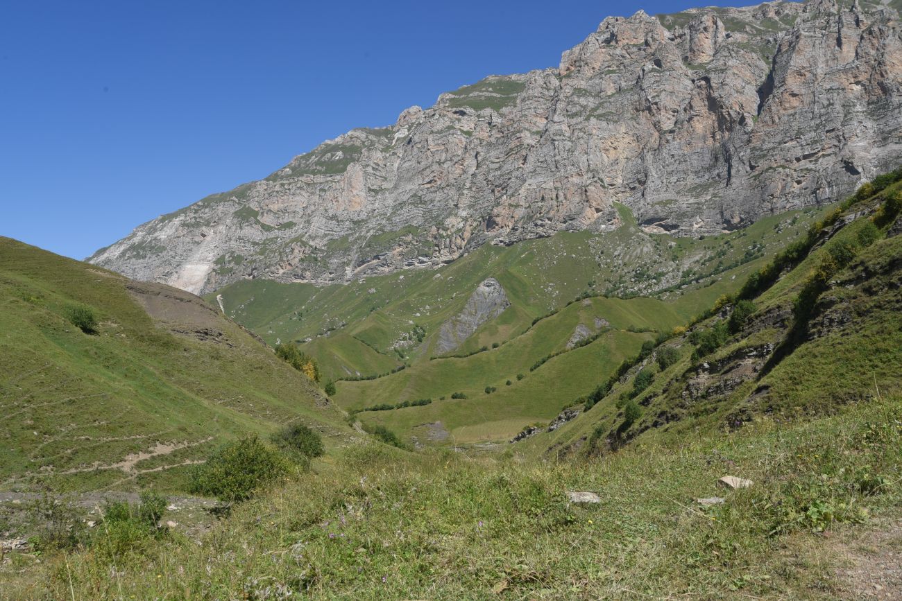 Урочище Хилиди, image of landscape/habitat.