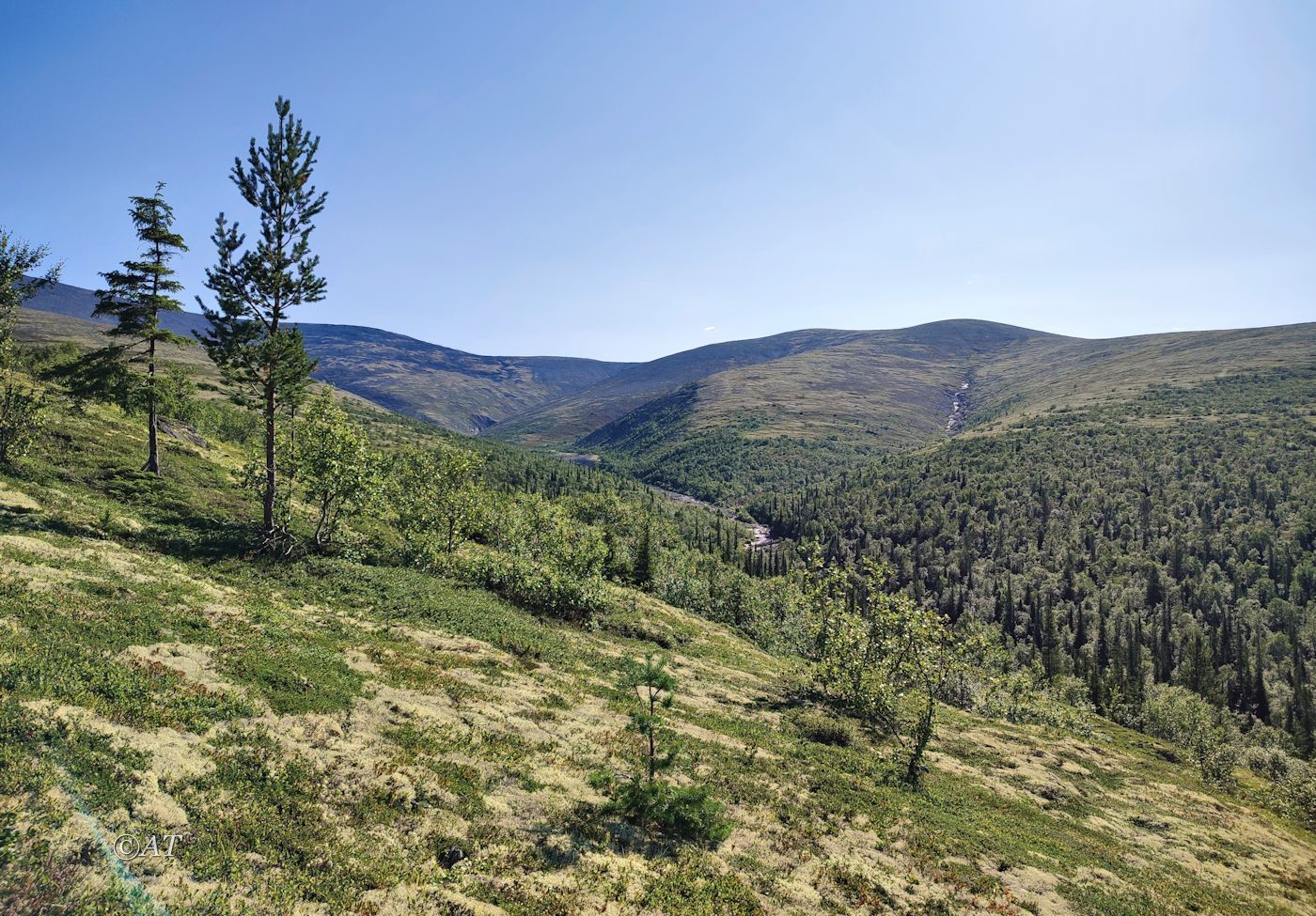 Ручей Маннепахкуай, image of landscape/habitat.