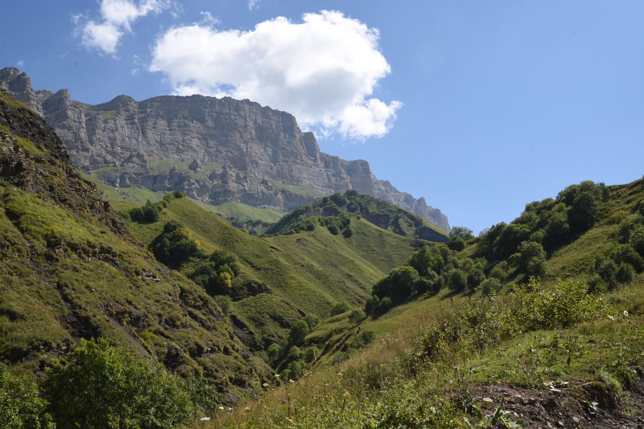 Урочище Хилиди, image of landscape/habitat.