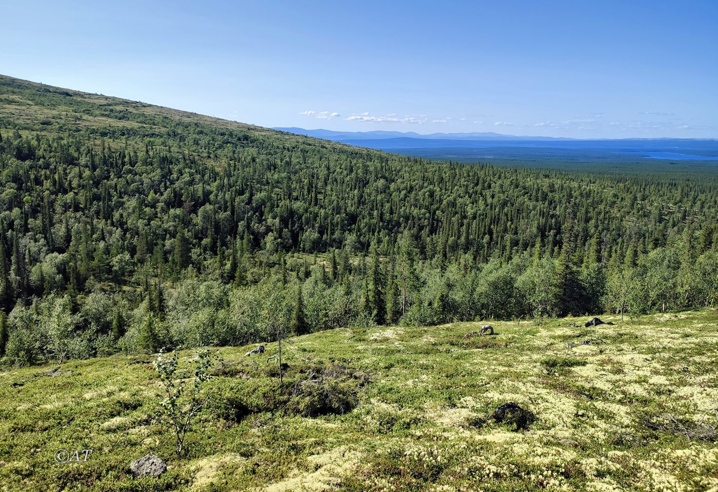 Ручей Маннепахкуай, image of landscape/habitat.