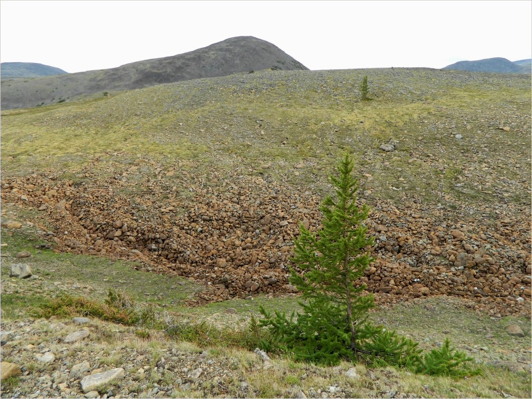 Кершор, image of landscape/habitat.