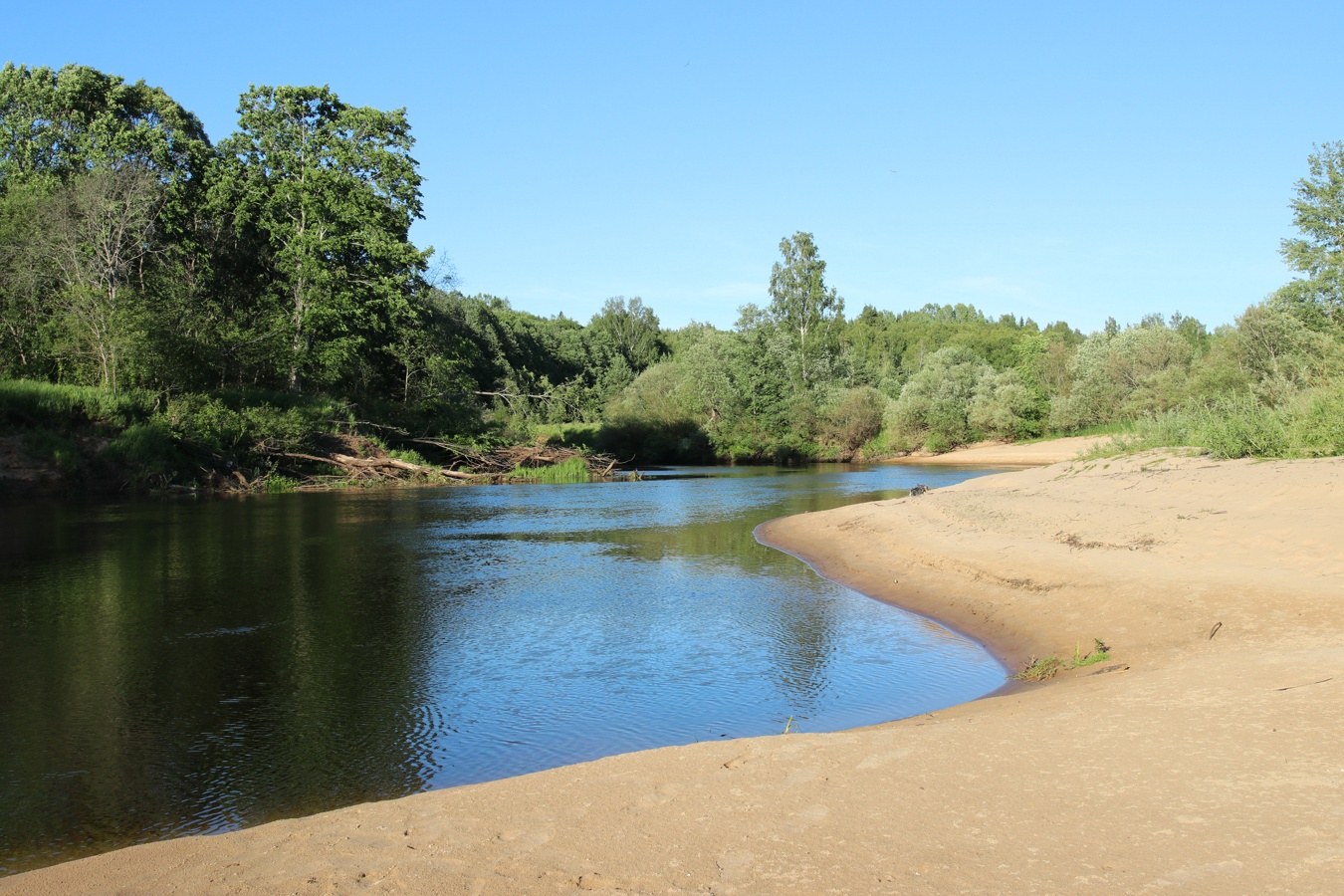 Луга у Кемки, image of landscape/habitat.