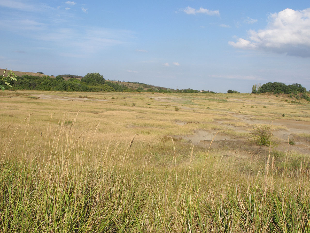 Глиняный карьер, image of landscape/habitat.