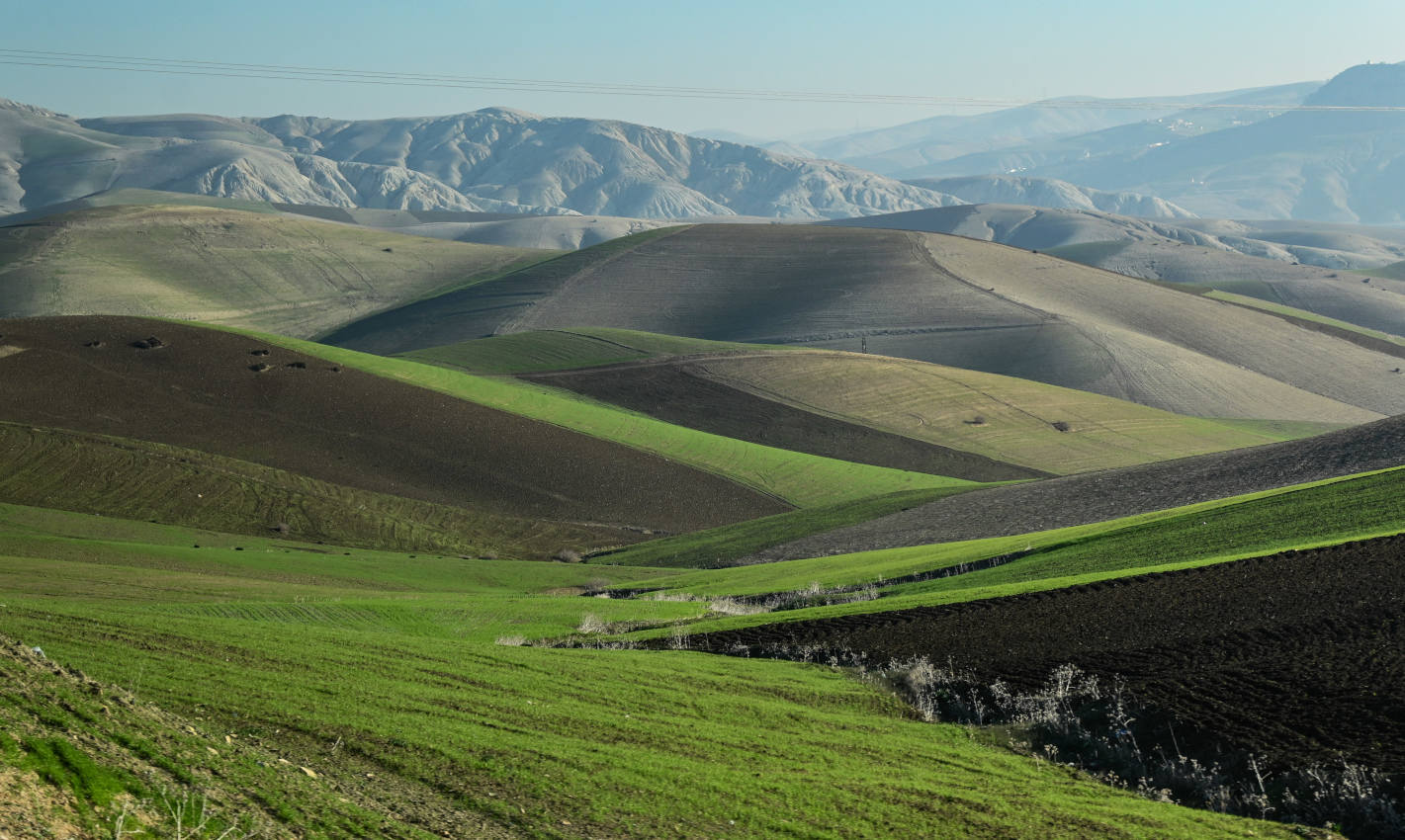 Озеро Сиди-Шахеде, image of landscape/habitat.