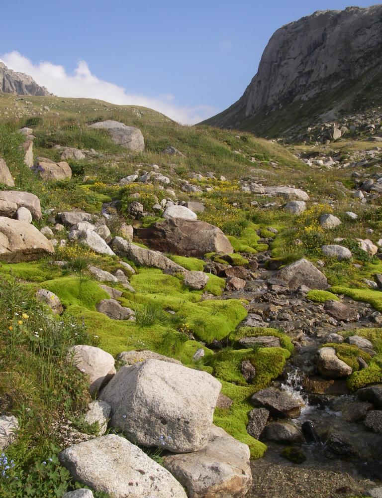 Каргалинское ущелье, image of landscape/habitat.