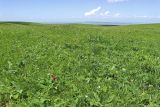 Джисса, image of landscape/habitat.