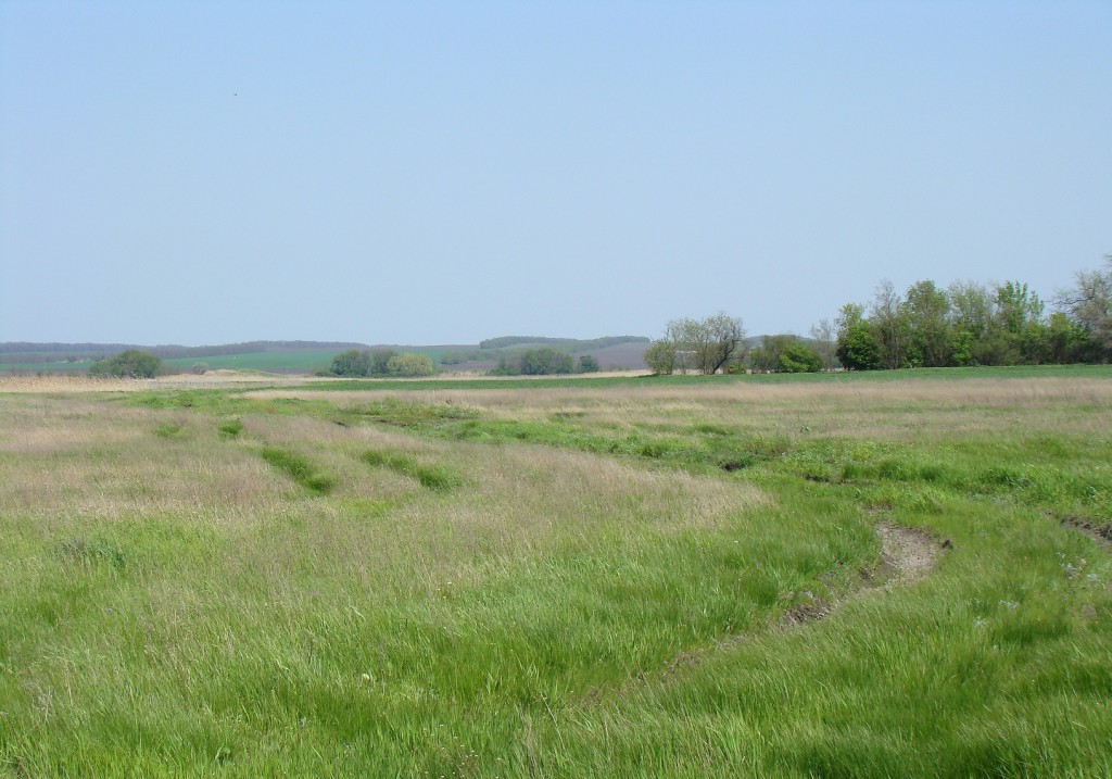 Пойма реки Ея, изображение ландшафта.