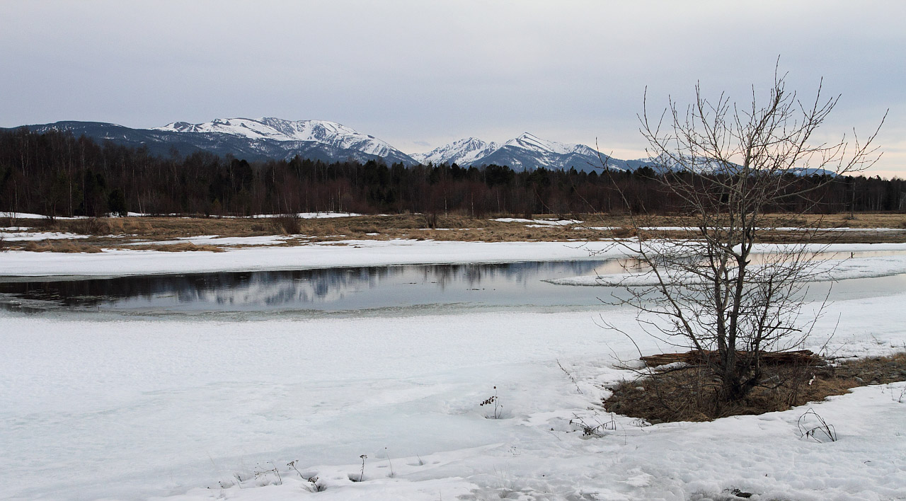 Мишиха, image of landscape/habitat.