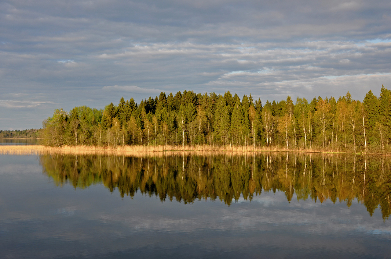 Валдай, image of landscape/habitat.