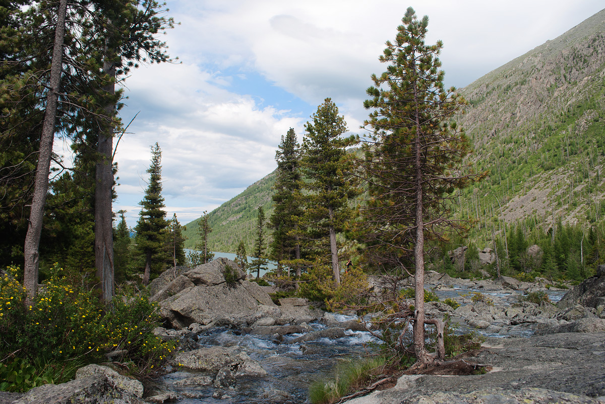 Урочище Шумы, image of landscape/habitat.