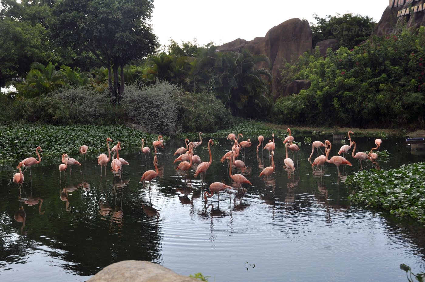 Парк развлечений "Vinpearl Land", image of landscape/habitat.