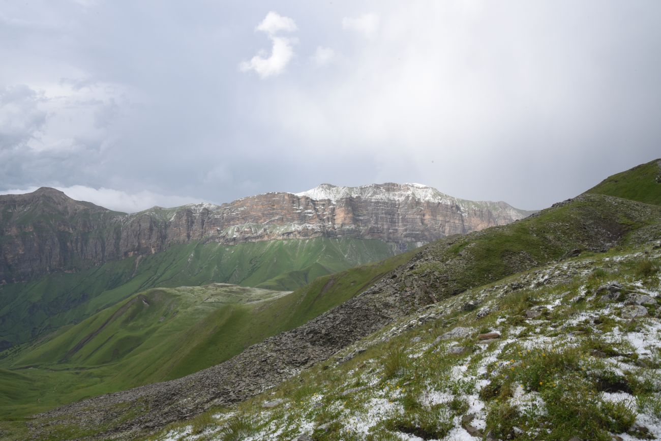 3 км от Цумандинского перевала, image of landscape/habitat.