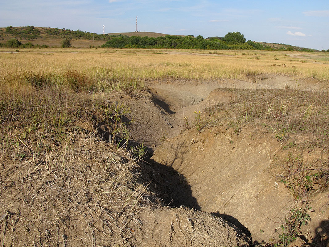 Глиняный карьер, image of landscape/habitat.