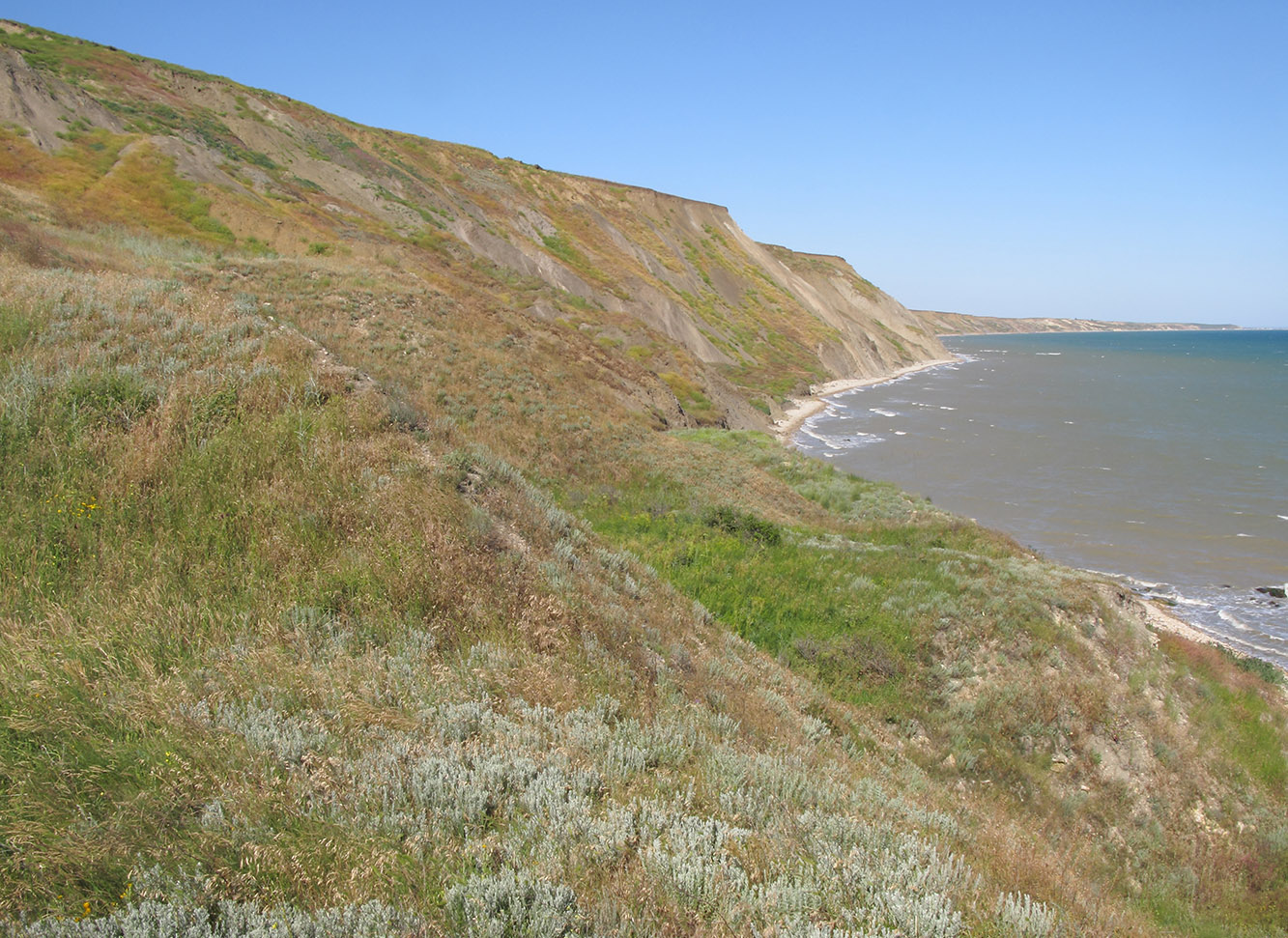 Железный Рог, image of landscape/habitat.