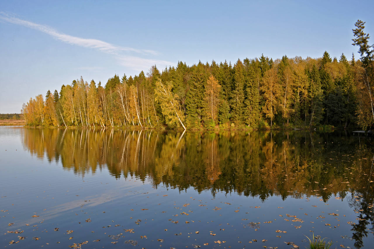 Долина реки Пажа, image of landscape/habitat.