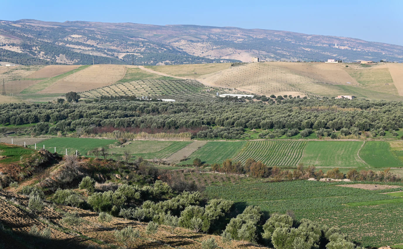 Озеро Сиди-Шахеде, image of landscape/habitat.