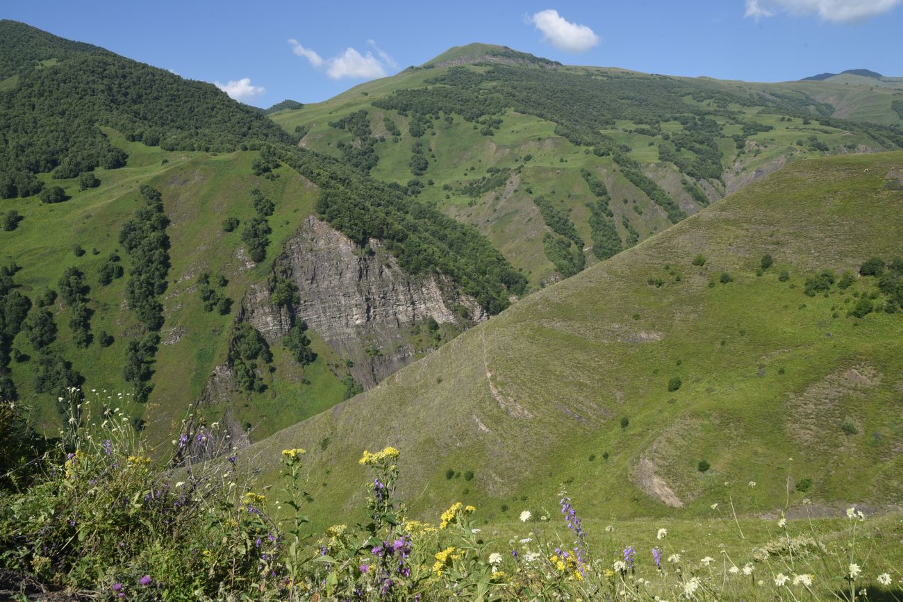 Долина реки Шикаройакх, image of landscape/habitat.