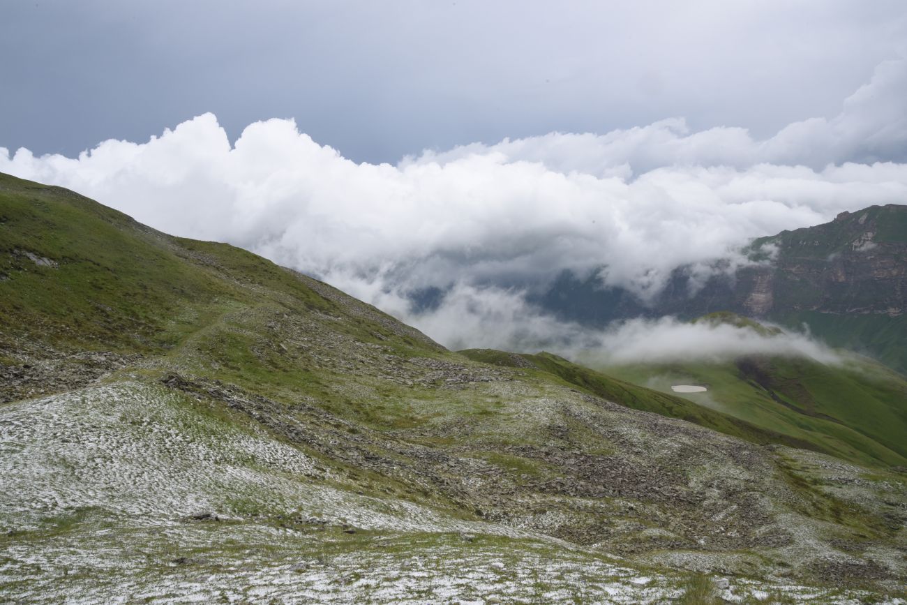 3 км от Цумандинского перевала, image of landscape/habitat.