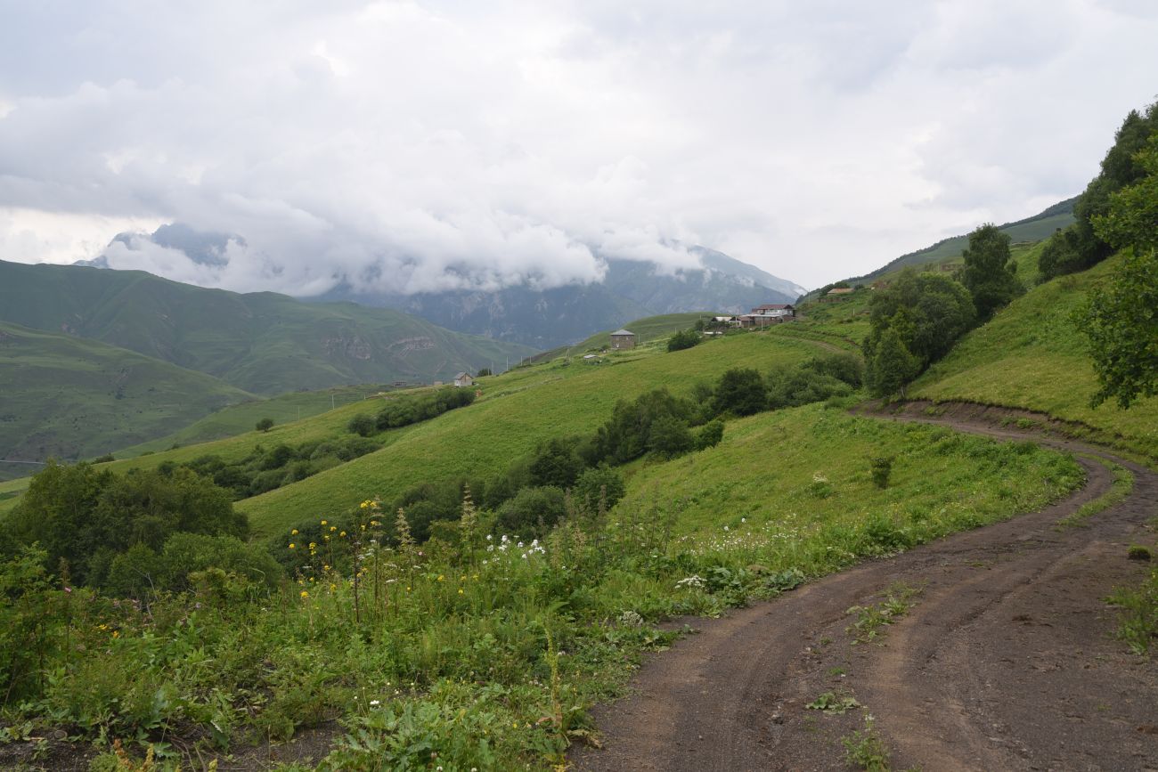 Лес между Хакмадой и Хочелдой, изображение ландшафта.