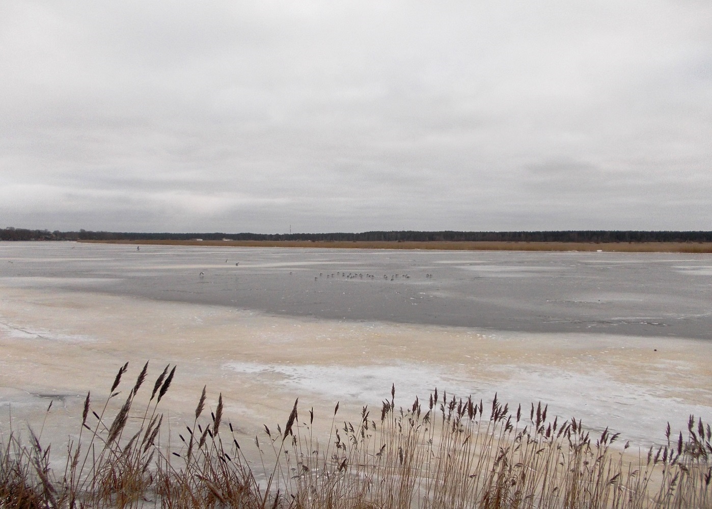 Юрмала, image of landscape/habitat.