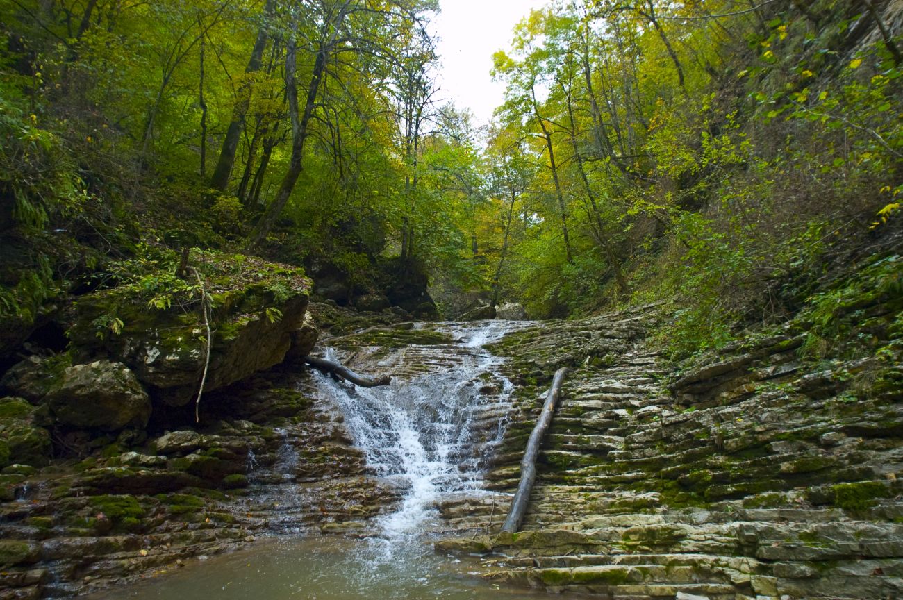 Долина реки Руфабго, image of landscape/habitat.