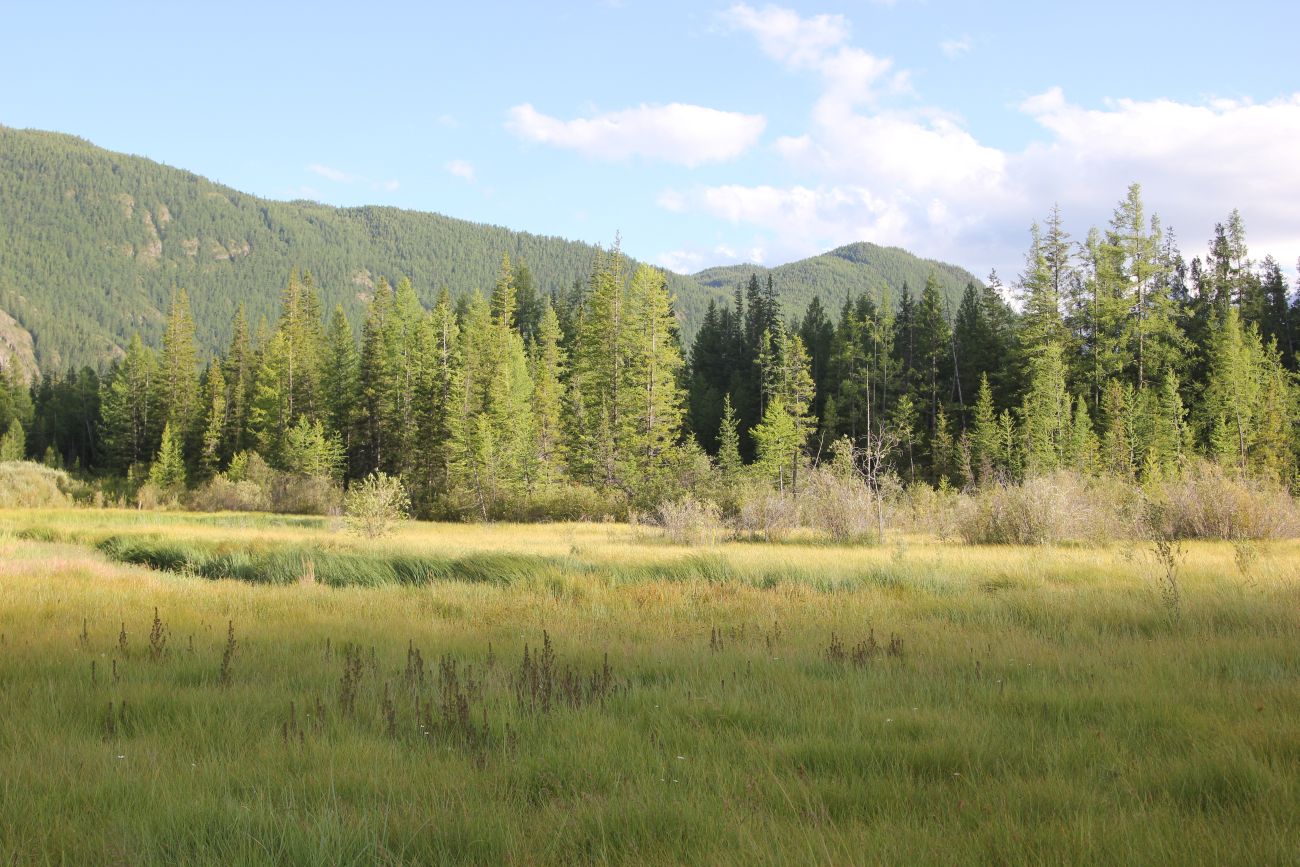 Голубое (Гейзеровое) озеро, image of landscape/habitat.