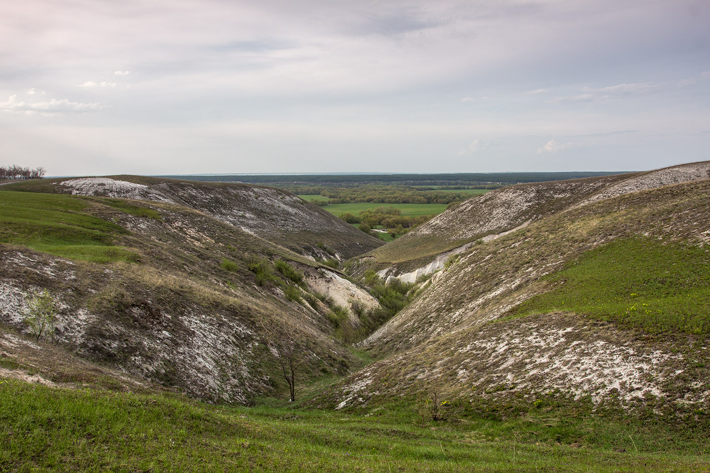 Дивногорье, image of landscape/habitat.