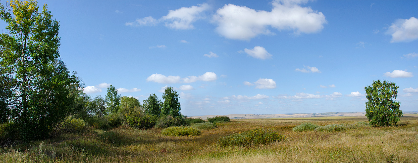 Сакмар, image of landscape/habitat.