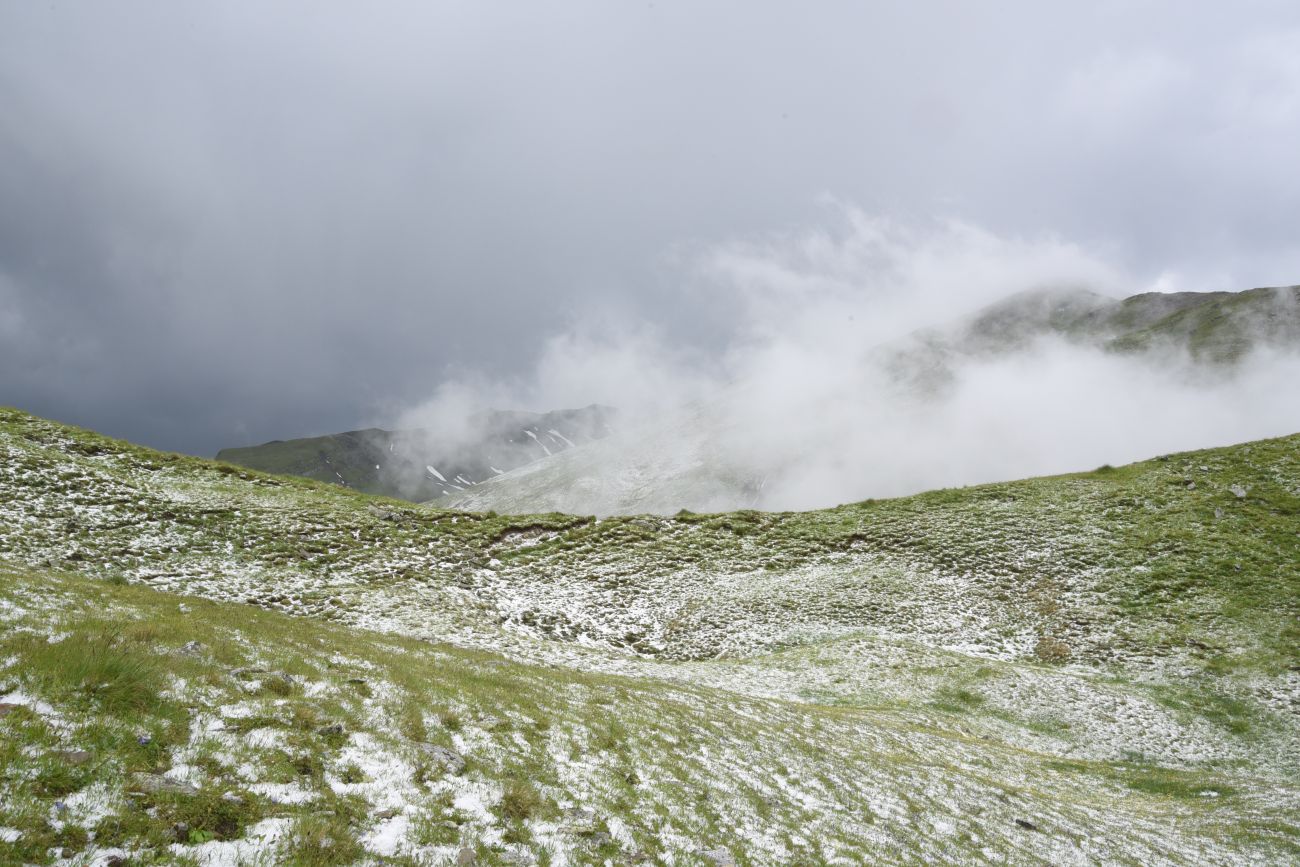 3 км от Цумандинского перевала, image of landscape/habitat.