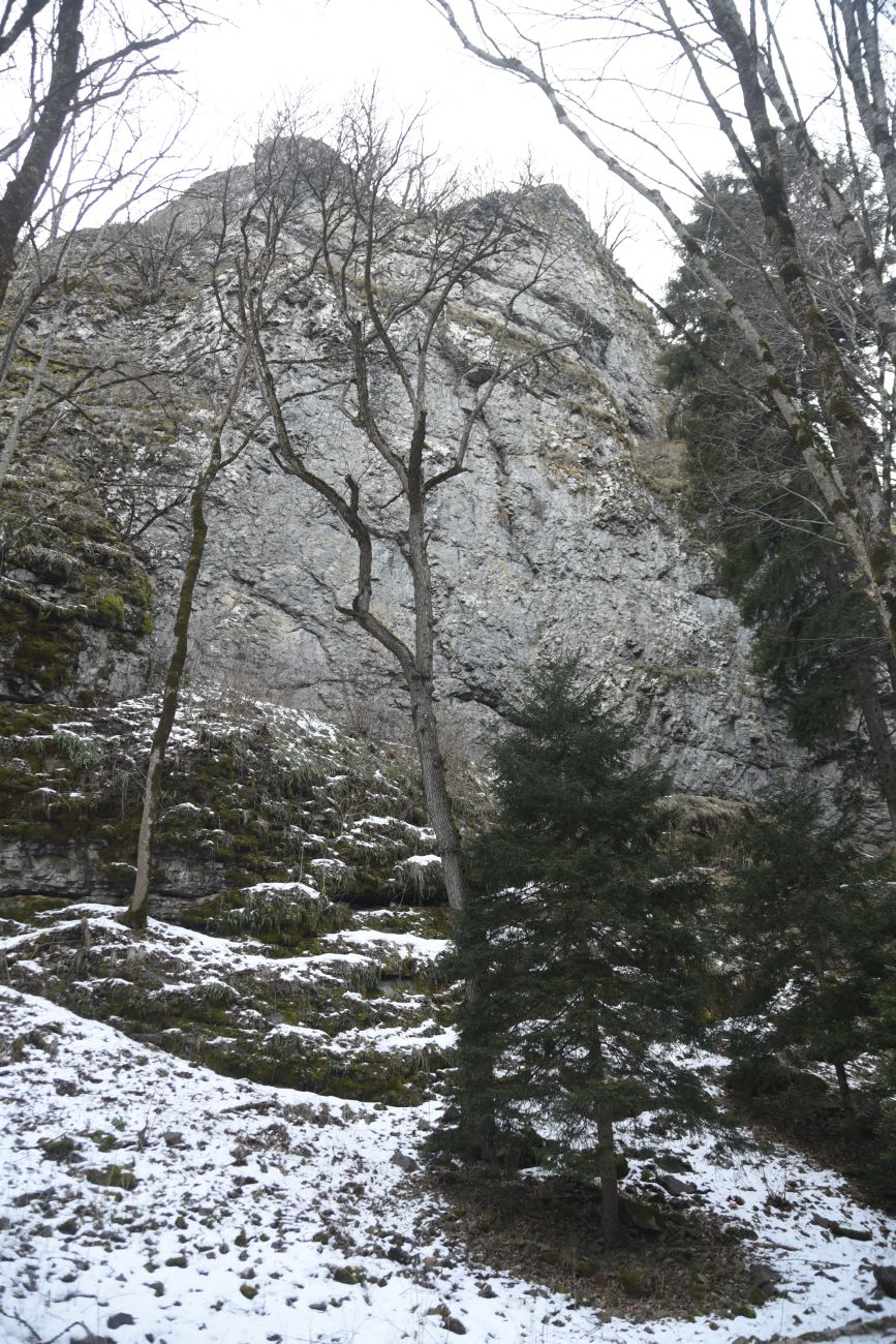 Монастырь Мцване, image of landscape/habitat.