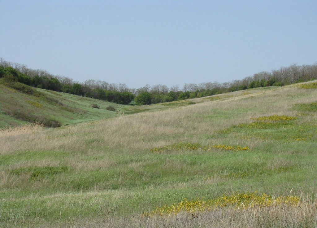 Урочище Бугелы, image of landscape/habitat.