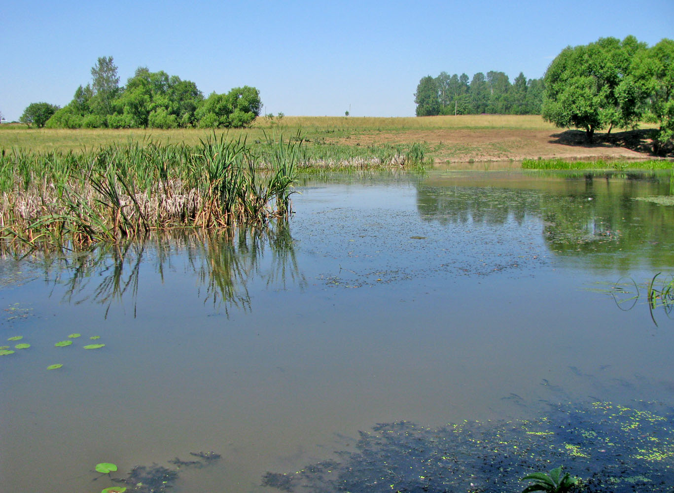 Шопша, image of landscape/habitat.