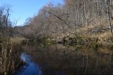 Окрестности деревни Семичёво, image of landscape/habitat.