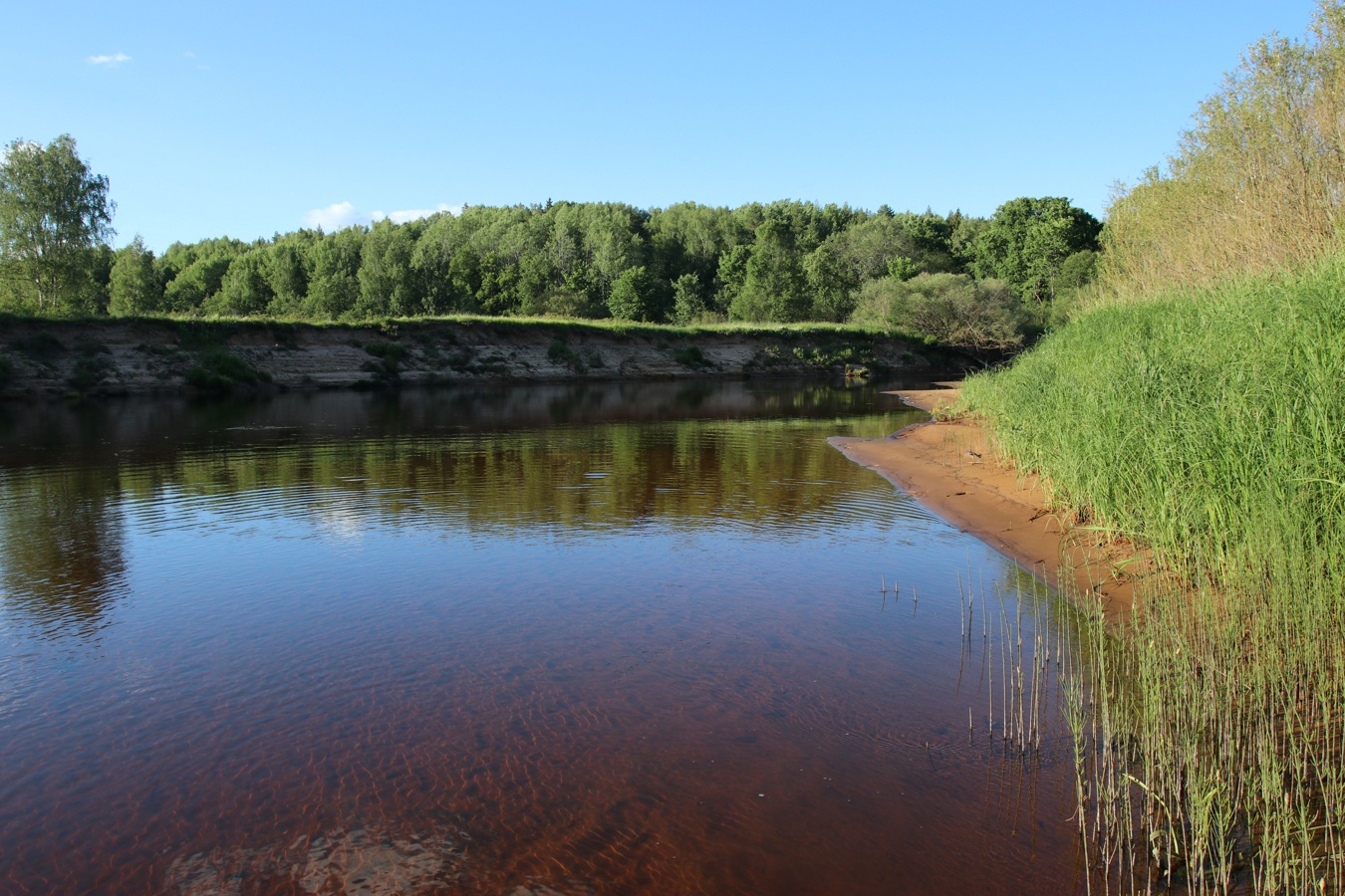 Луга у Кемки, image of landscape/habitat.