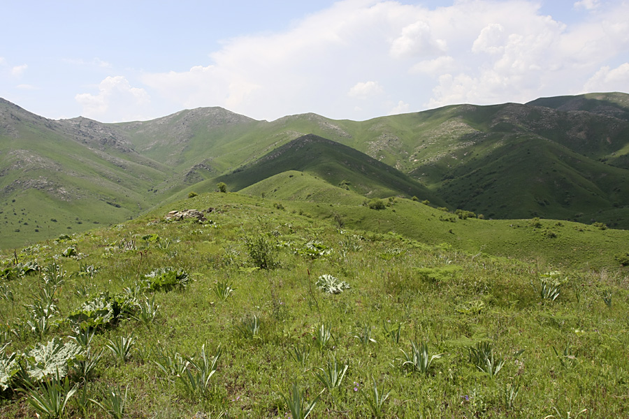 Боролдайтау - северный склон, image of landscape/habitat.