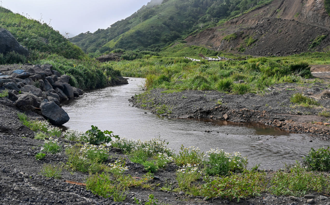 Долина реки Сторожевая, image of landscape/habitat.