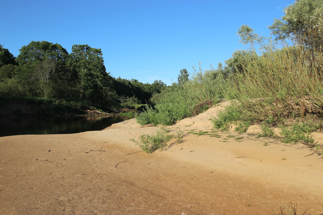 Луга у Кемки, image of landscape/habitat.