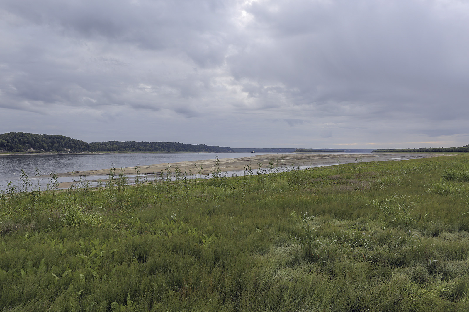 Окрестности Горнореченска, image of landscape/habitat.