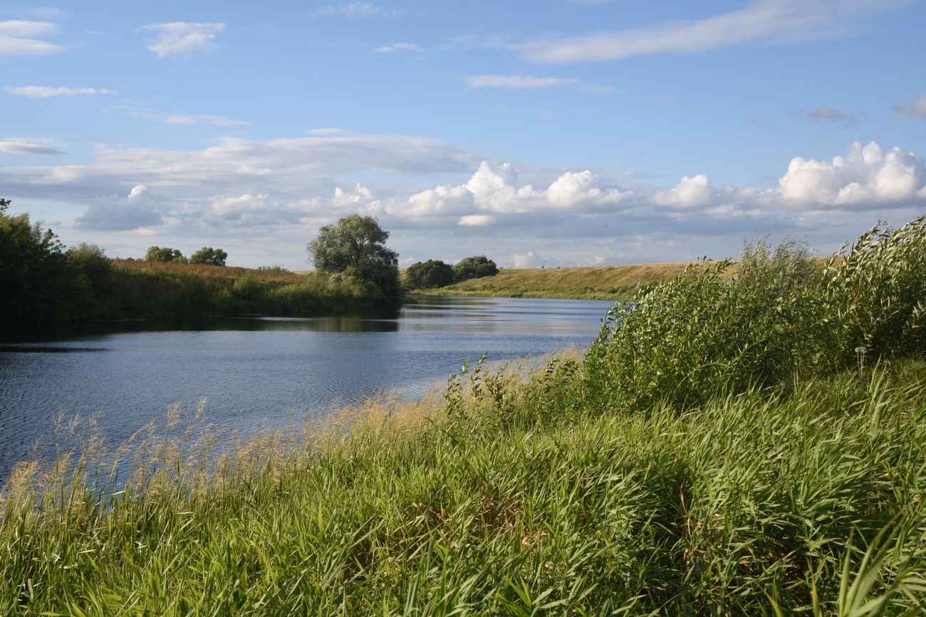 Масловка, image of landscape/habitat.