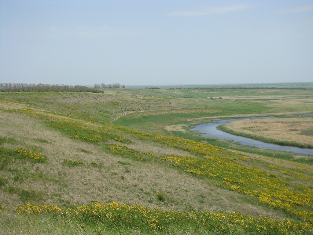 Урочище Бугелы, image of landscape/habitat.