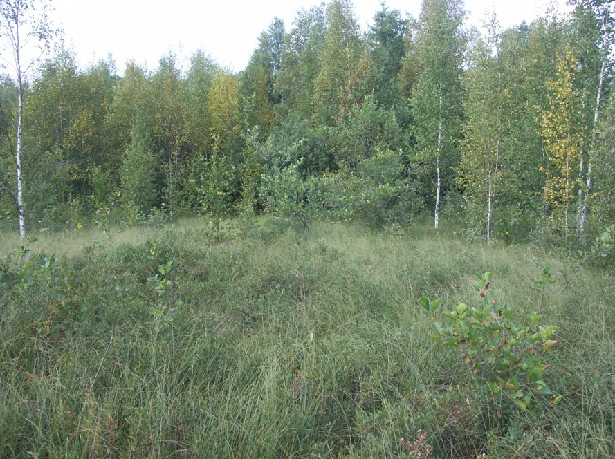 Лисий Нос, image of landscape/habitat.