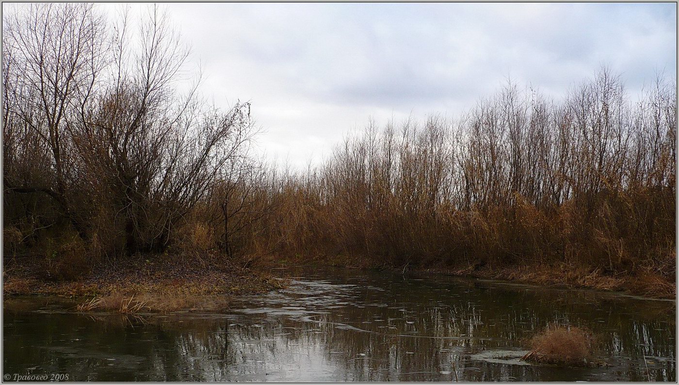 Сурский затон, image of landscape/habitat.