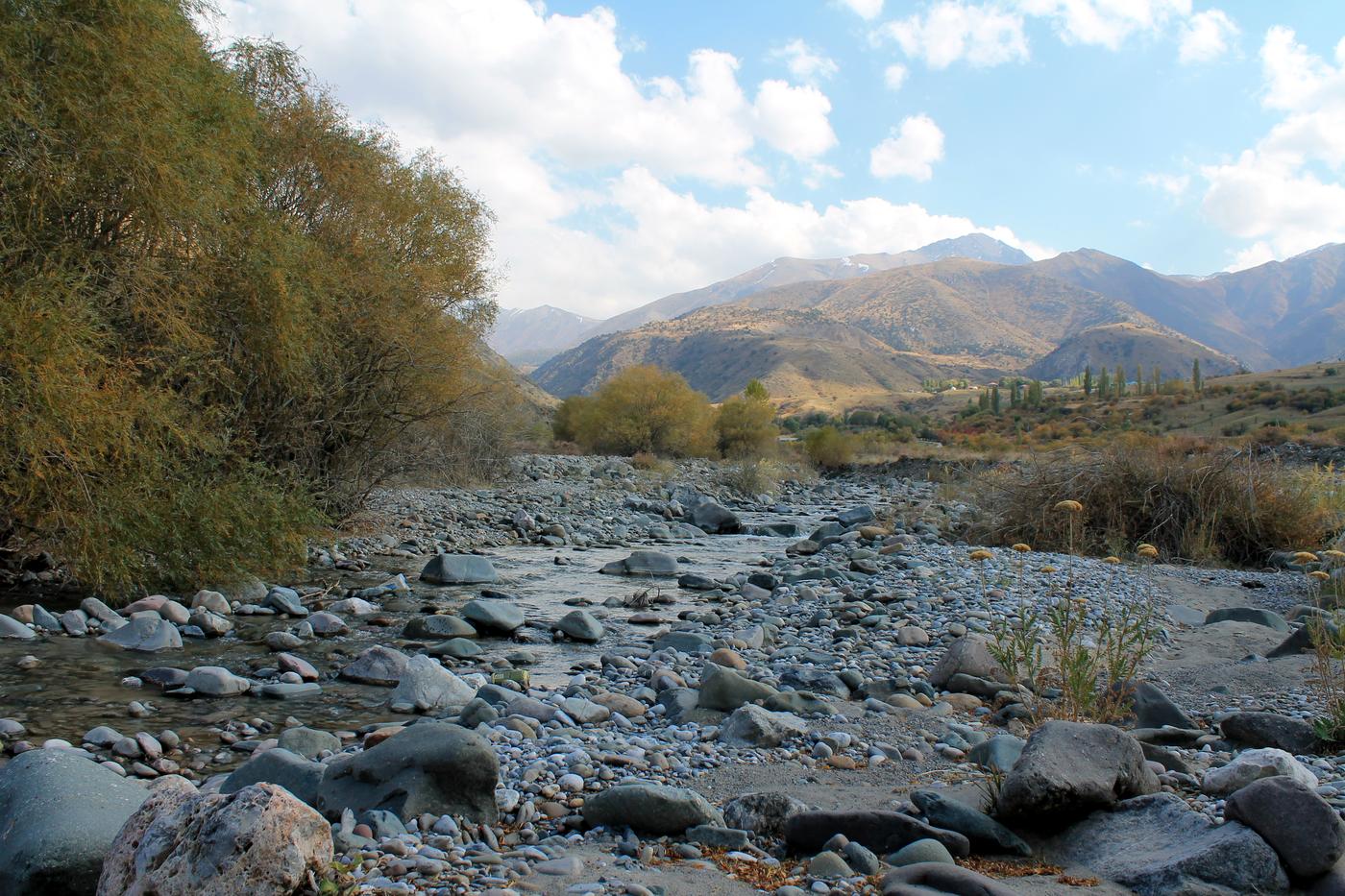 Окрестности с. Жабаглы, image of landscape/habitat.