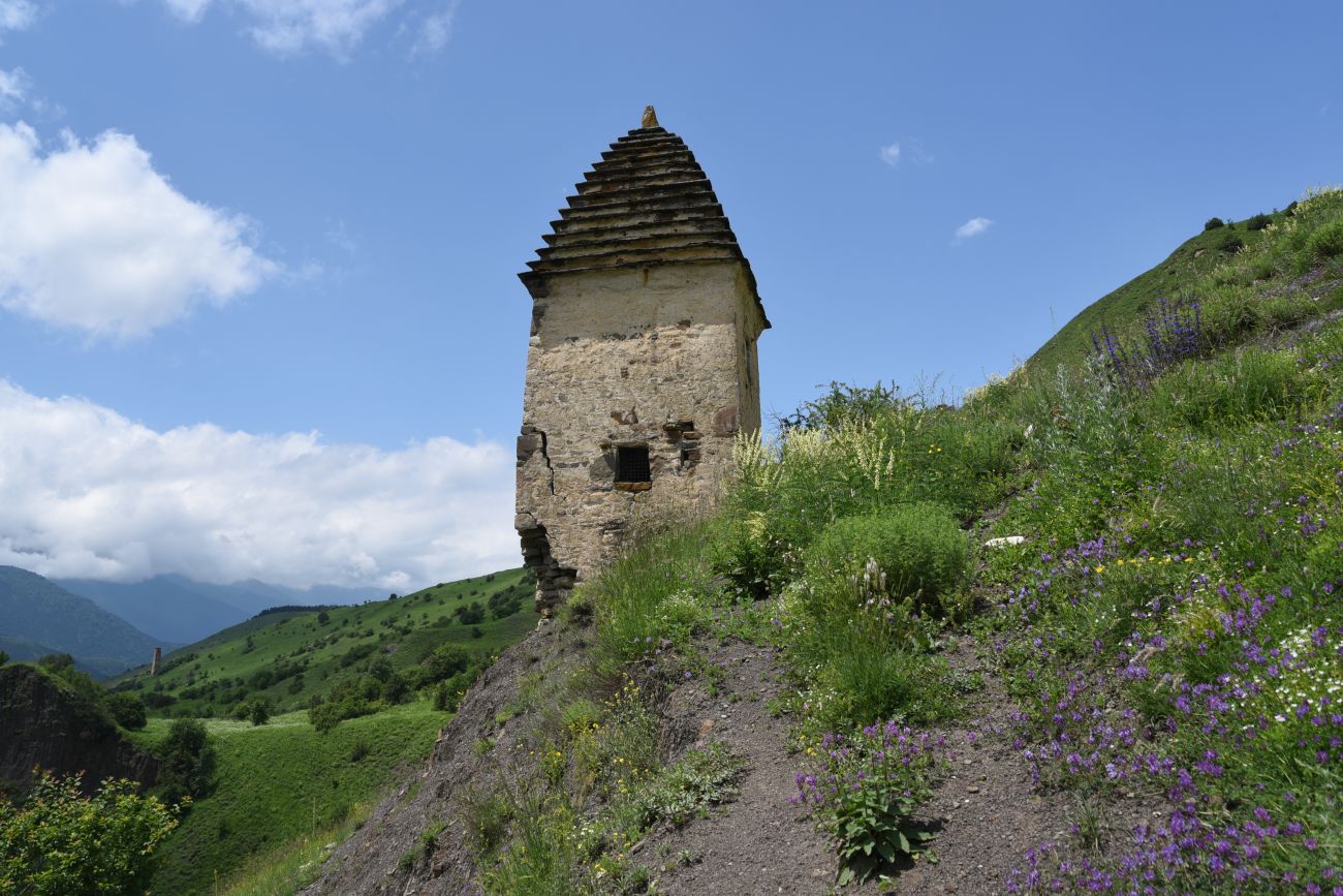 Окрестности урочища Меллер, image of landscape/habitat.