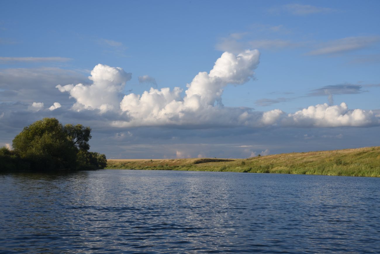 Масловка, image of landscape/habitat.