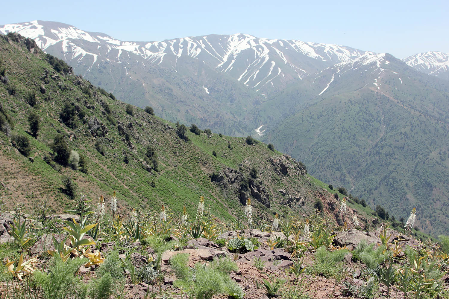 Верховье Бельдерсая, image of landscape/habitat.