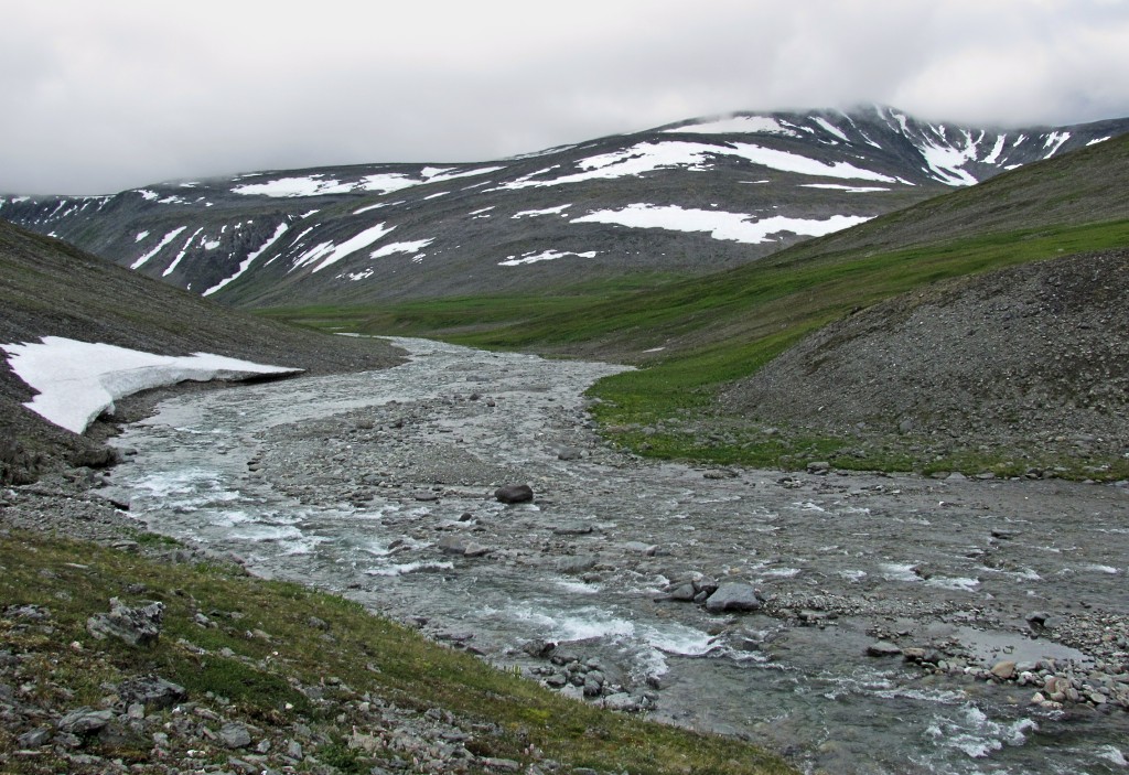 Верховья Большой Усы, image of landscape/habitat.