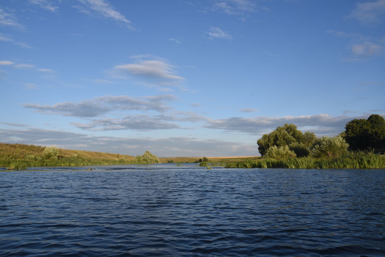 Масловка, image of landscape/habitat.