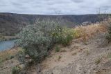 Image of landscape